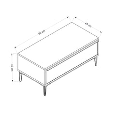 Table basse moderne avec rangement Bakita L90cm Noir et Or