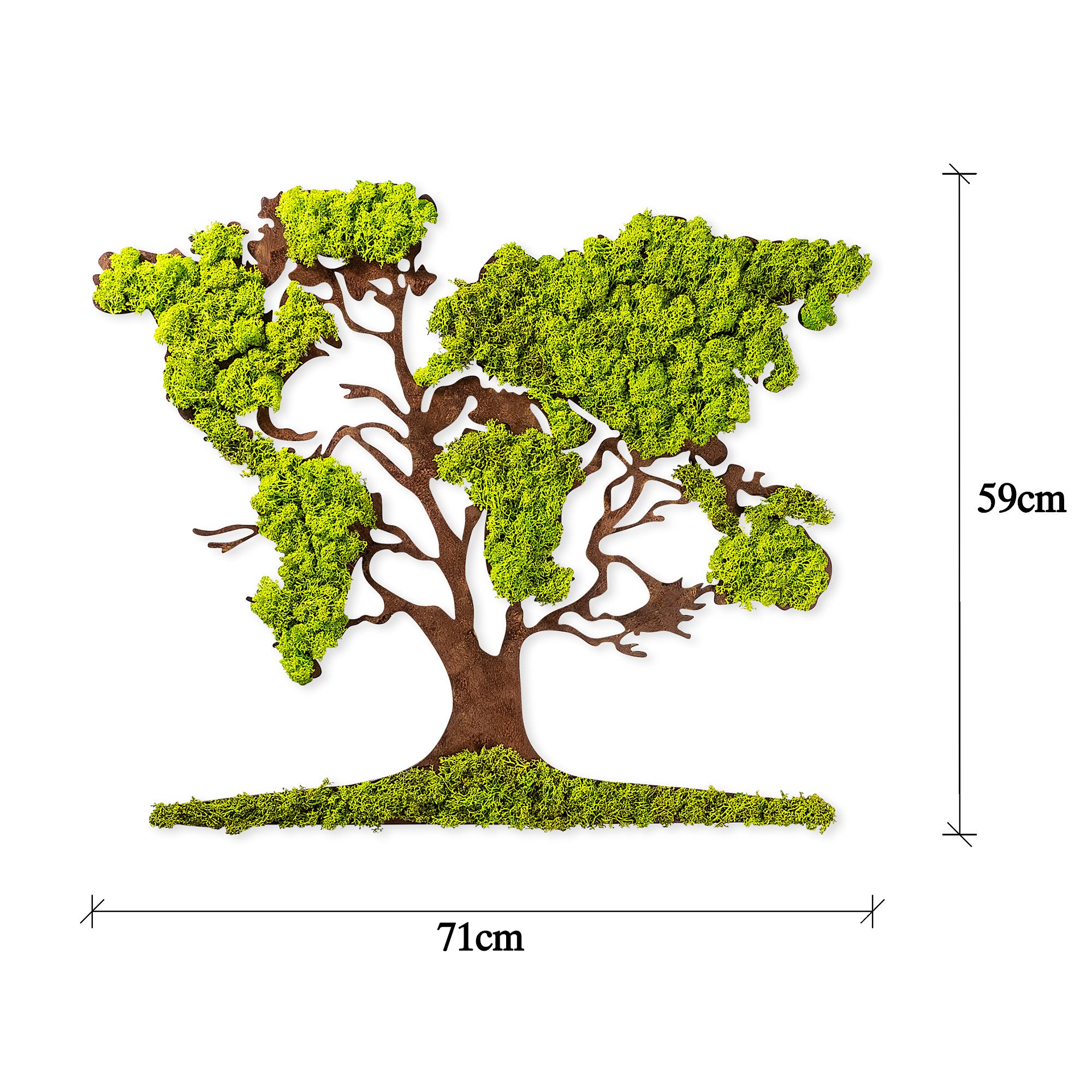 Accessoire mural décoratif Ornatio arbre Bois foncé et Mousse Vert