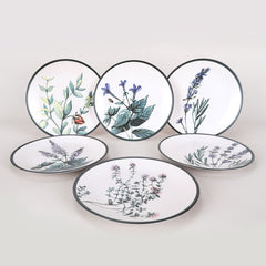 Lot de 6 grondes assiettes Olya D25cm Céramique Motif Plantes